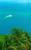 Туры в отель Backwater Ripples Kumarakom Туры в отель Backwater Ripples Kumarakom
