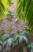 Туры в отель Grand Hotel KYRIOS Veracruz Туры в отель Grand Hotel KYRIOS Veracruz