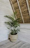 Туры в отель White Palm Hotel Bali Туры в отель White Palm Hotel Bali