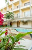 Туры в отель Hotel Casa Bocana Туры в отель Hotel Casa Bocana