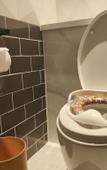 Туры в отель Sheraton Mianyang Туры в отель Sheraton Mianyang
