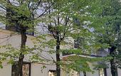 Туры в отель Bridge Hotel Riga Free PARKING Туры в отель Bridge Hotel Riga Free PARKING