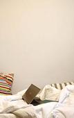 Туры в отель Bridge Hotel Riga Free PARKING Туры в отель Bridge Hotel Riga Free PARKING