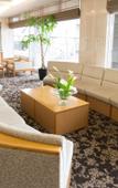 Туры в отель Moriyama Art Hotel Туры в отель Moriyama Art Hotel