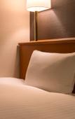 Туры в отель Moriyama Art Hotel Туры в отель Moriyama Art Hotel