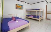 Туры в отель Rob and Fred's Resort Туры в отель Rob and Fred's Resort