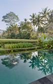 Туры в отель Poka Ubud Hidden Paradise & Spa by EPS Туры в отель Poka Ubud Hidden Paradise & Spa by EPS