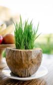 Туры в отель Poka Ubud Hidden Paradise & Spa by EPS Туры в отель Poka Ubud Hidden Paradise & Spa by EPS