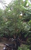 Туры в отель Side Walk Hotel Туры в отель Side Walk Hotel