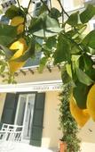 Туры в отель Core Amalfitano City Suites Туры в отель Core Amalfitano City Suites