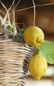 Туры в отель Core Amalfitano City Suites Туры в отель Core Amalfitano City Suites