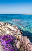 Туры в отель Hotel Il Faro di Molara Туры в отель Hotel Il Faro di Molara