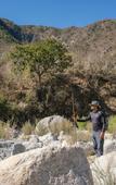 Туры в отель Paradero Todos Santos - Exclusive Experiences Туры в отель Paradero Todos Santos - Exclusive Experiences