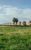 Туры в отель Paradero Todos Santos - Exclusive Experiences Туры в отель Paradero Todos Santos - Exclusive Experiences