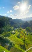 Туры в отель Magical Mountain View Resort Туры в отель Magical Mountain View Resort