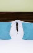 Туры в отель Hotel Boutique Las Campanas Туры в отель Hotel Boutique Las Campanas