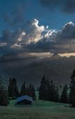 Туры в отель Me and All Hotel Flims, by Hyatt Туры в отель Me and All Hotel Flims, by Hyatt