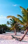 Туры в отель The One Resort Koh Rong Туры в отель The One Resort Koh Rong