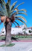 Туры в отель La Promenade Туры в отель La Promenade