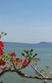 Туры в отель Hotel Marina Bima Туры в отель Hotel Marina Bima
