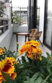Туры в отель Elysinam Boutique Hotel Ha Long Туры в отель Elysinam Boutique Hotel Ha Long