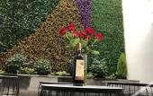 Туры в отель Adamas House Hotel Туры в отель Adamas House Hotel