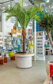 Туры в отель MISSION PACIFIC BEACH RESORT, part of JdV by Hyatt Туры в отель MISSION PACIFIC BEACH RESORT, part of JdV by Hyatt
