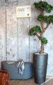 Туры в отель B&B HOTEL SAINTE MAXIME Golfe de St Tropez (4628) Туры в отель B&B HOTEL SAINTE MAXIME Golfe de St Tropez (4628)