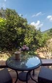 Туры в отель Tawan Riverside - Elephant Resort Туры в отель Tawan Riverside - Elephant Resort