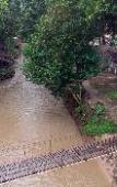Туры в отель Tawan Riverside - Elephant Resort Туры в отель Tawan Riverside - Elephant Resort