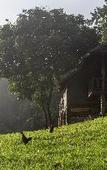Туры в отель Tawan Riverside - Elephant Resort Туры в отель Tawan Riverside - Elephant Resort