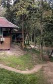 Туры в отель Tawan Riverside - Elephant Resort Туры в отель Tawan Riverside - Elephant Resort
