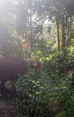 Туры в отель Tawan Riverside - Elephant Resort Туры в отель Tawan Riverside - Elephant Resort