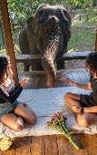 Туры в отель Tawan Riverside - Elephant Resort Туры в отель Tawan Riverside - Elephant Resort