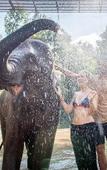 Туры в отель Tawan Riverside - Elephant Resort Туры в отель Tawan Riverside - Elephant Resort
