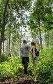 Туры в отель Tawan Riverside - Elephant Resort Туры в отель Tawan Riverside - Elephant Resort