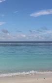 Туры в отель AraamView Maldives Туры в отель AraamView Maldives
