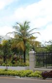 Туры в отель AraamView Maldives Туры в отель AraamView Maldives