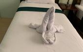 Туры в отель Adams View Hotel Туры в отель Adams View Hotel