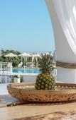 Туры в отель Naxos Nature Suites Туры в отель Naxos Nature Suites