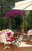 Туры в отель Hotel le Sud Туры в отель Hotel le Sud