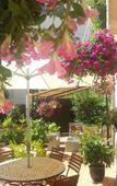 Туры в отель Hotel le Sud Туры в отель Hotel le Sud