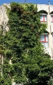 Туры в отель Hotel le Sud Туры в отель Hotel le Sud