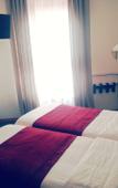 Туры в отель Hotel le Sud Туры в отель Hotel le Sud