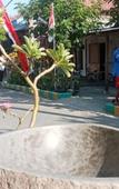 Туры в отель Exotic View Cottage Туры в отель Exotic View Cottage