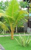 Туры в отель Exotic View Cottage Туры в отель Exotic View Cottage