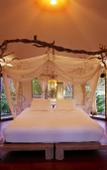 Туры в отель Koyao Island Resort Туры в отель Koyao Island Resort