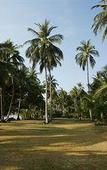 Туры в отель Koyao Island Resort Туры в отель Koyao Island Resort