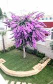 Туры в отель Villa Pina Туры в отель Villa Pina