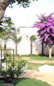 Туры в отель Villa Pina Туры в отель Villa Pina